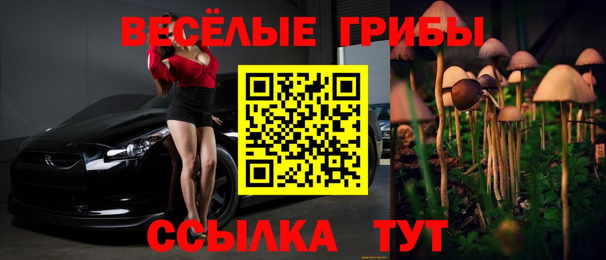 Петровск  Галлюциногенные грибы Cubensis  Вход с VPN  цены наркотик  Псилоцибиновые грибы Magic Shrooms 